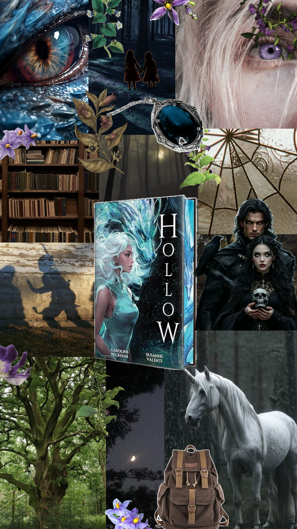 Hollow (Book 1 in the Crown of Hearts & Chaos Series)